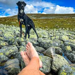 Füße abkühlen an einem der zahlreichen Bergseen im Jämtlandsfjäll