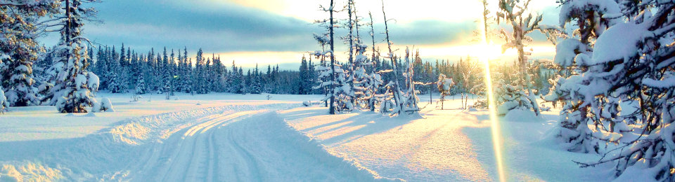 Galå Fjällgård panorama