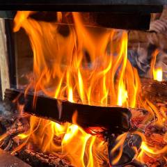 Sommer in der Grillhütte mit unseren Campinggästen