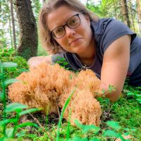 Stachelpilze gibt es in vielen verschiedenen Arten, hier die schwefelgelbe Koralle (gul fingersvamp)