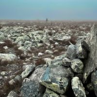 Nebel in den Bergen ist schon eine besondere Stimmung