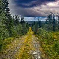 Forstweg zum wandern oder mountainbiken auf den Gipfel zum Predikstolen